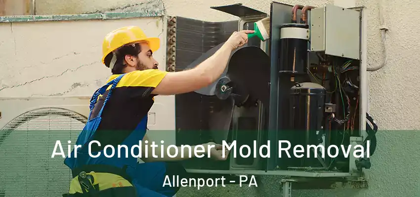  Air Conditioner Mold Removal Allenport - PA