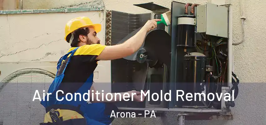  Air Conditioner Mold Removal Arona - PA