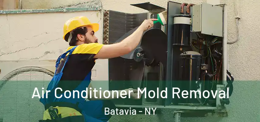  Air Conditioner Mold Removal Batavia - NY