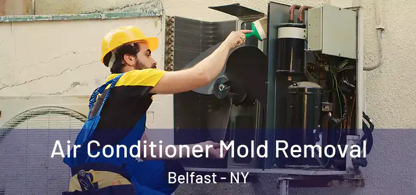  Air Conditioner Mold Removal Belfast - NY