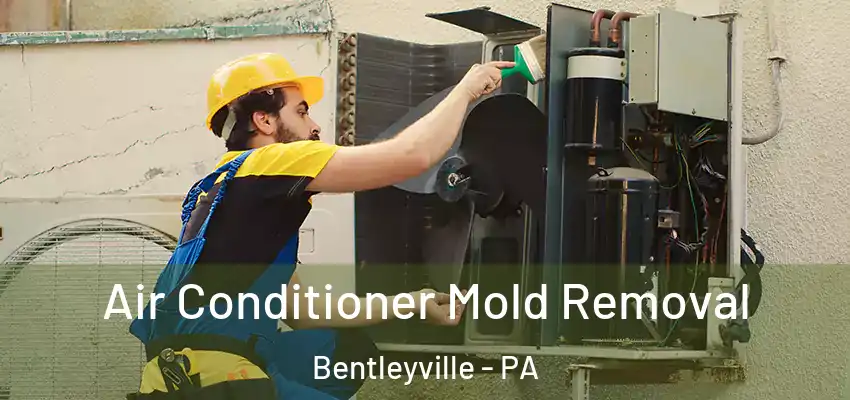  Air Conditioner Mold Removal Bentleyville - PA