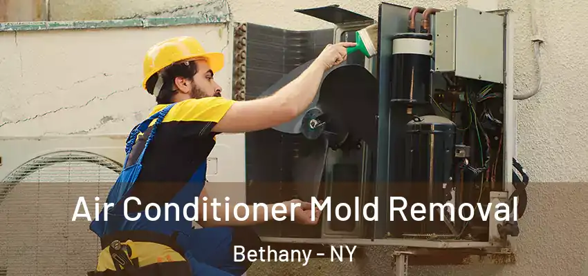  Air Conditioner Mold Removal Bethany - NY