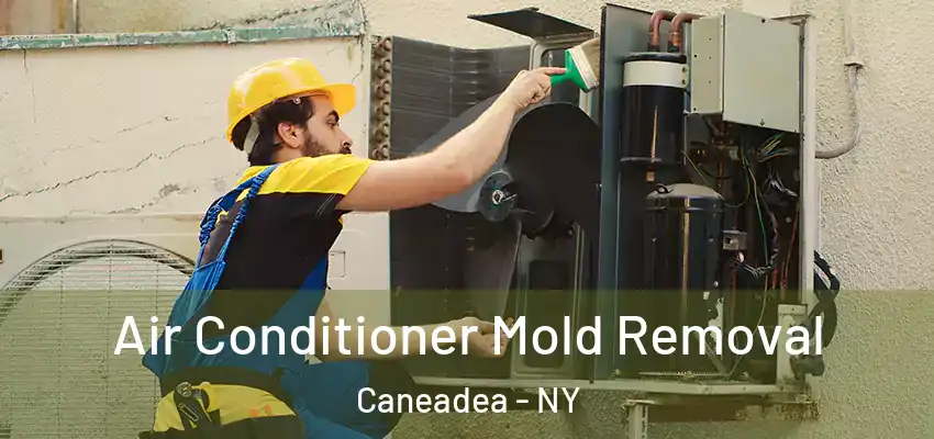  Air Conditioner Mold Removal Caneadea - NY