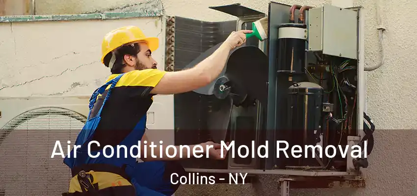  Air Conditioner Mold Removal Collins - NY