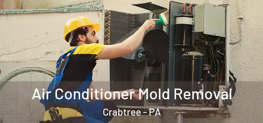  Air Conditioner Mold Removal Crabtree - PA