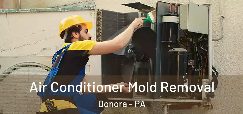  Air Conditioner Mold Removal Donora - PA
