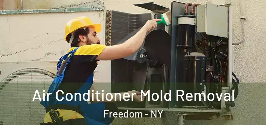  Air Conditioner Mold Removal Freedom - NY