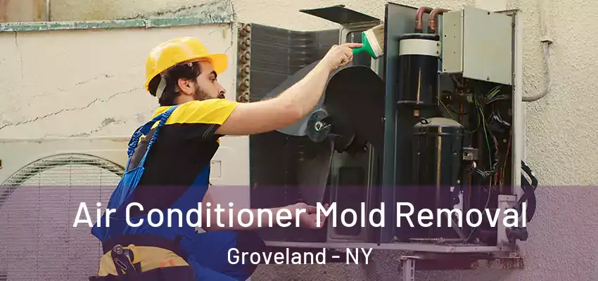  Air Conditioner Mold Removal Groveland - NY