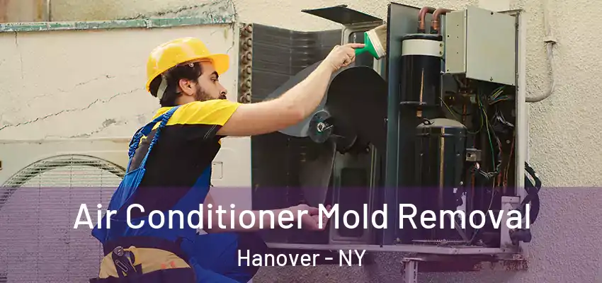  Air Conditioner Mold Removal Hanover - NY