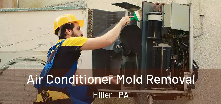  Air Conditioner Mold Removal Hiller - PA