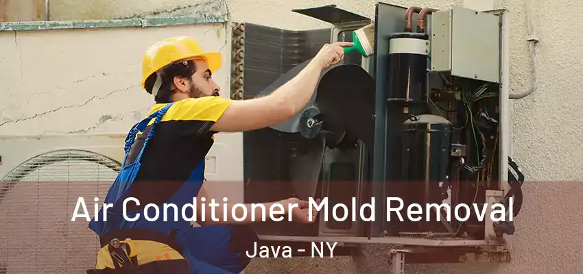Air Conditioner Mold Removal Java - NY
