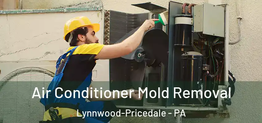 Air Conditioner Mold Removal Lynnwood-Pricedale - PA