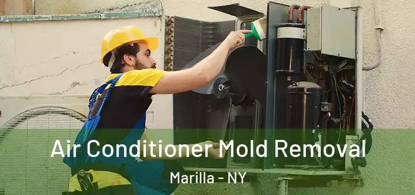  Air Conditioner Mold Removal Marilla - NY