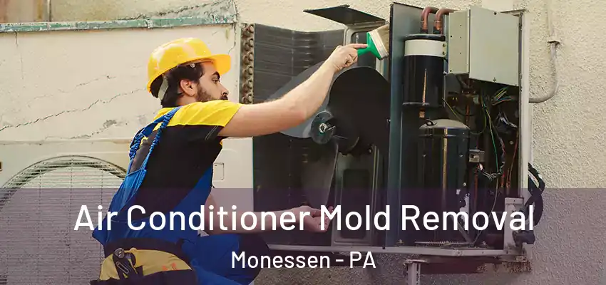  Air Conditioner Mold Removal Monessen - PA