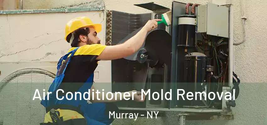  Air Conditioner Mold Removal Murray - NY