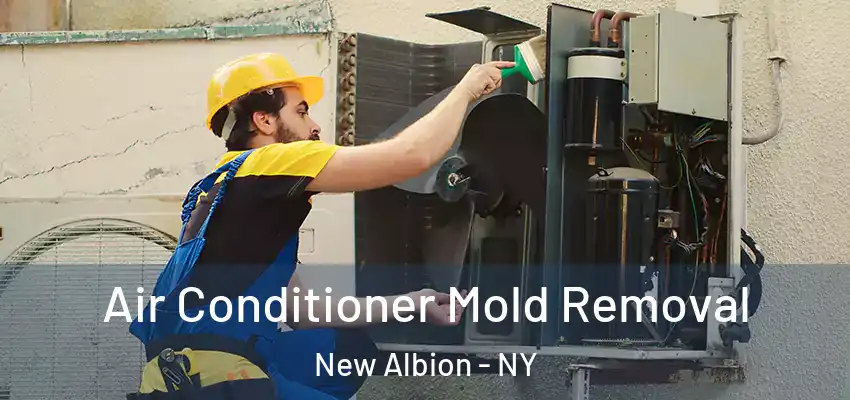  Air Conditioner Mold Removal New Albion - NY
