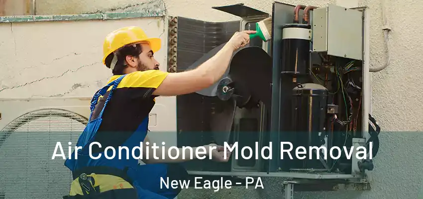  Air Conditioner Mold Removal New Eagle - PA
