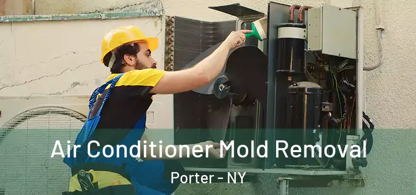  Air Conditioner Mold Removal Porter - NY