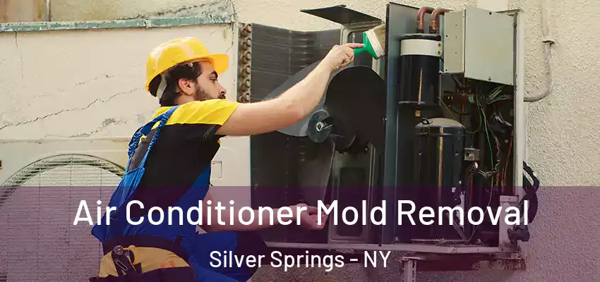  Air Conditioner Mold Removal Silver Springs - NY
