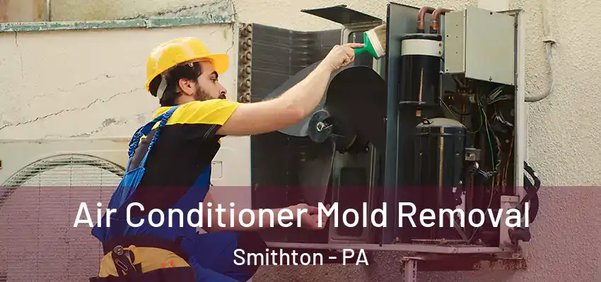  Air Conditioner Mold Removal Smithton - PA