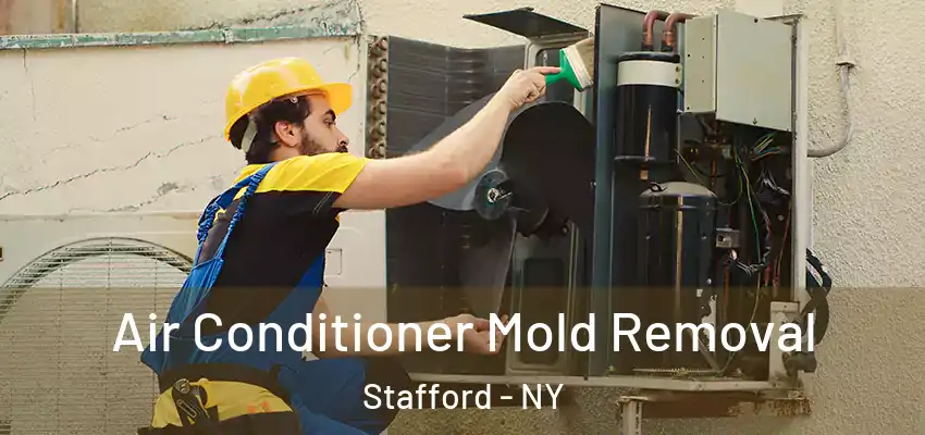  Air Conditioner Mold Removal Stafford - NY