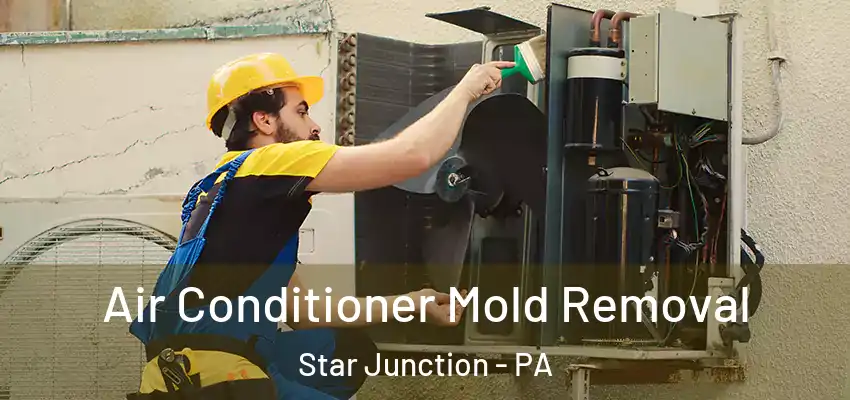  Air Conditioner Mold Removal Star Junction - PA