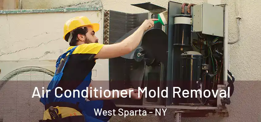  Air Conditioner Mold Removal West Sparta - NY