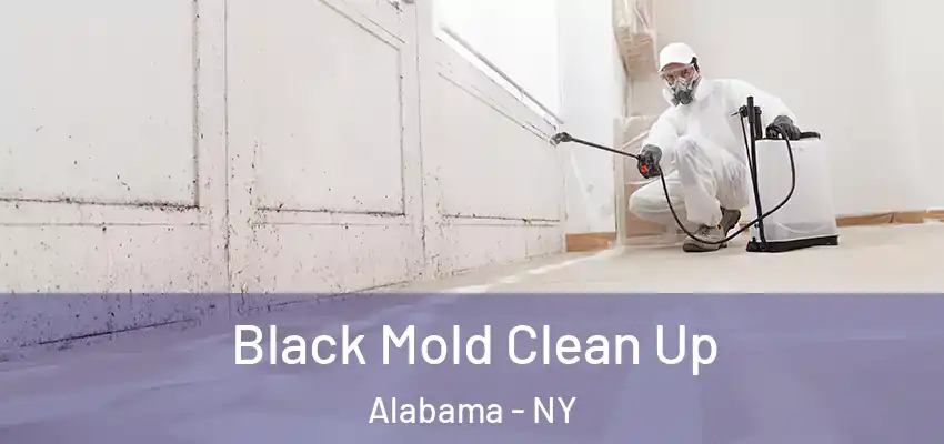  Black Mold Clean Up Alabama - NY