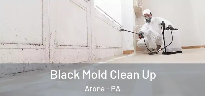  Black Mold Clean Up Arona - PA