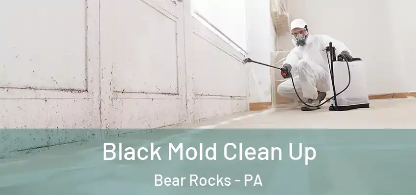  Black Mold Clean Up Bear Rocks - PA