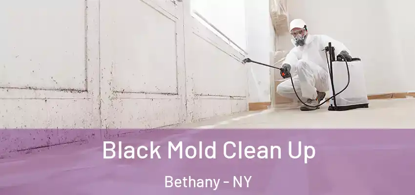 Black Mold Clean Up Bethany - NY