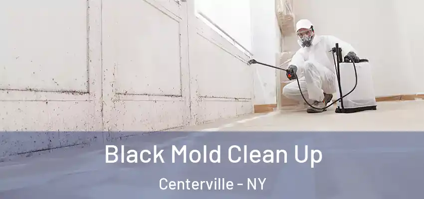  Black Mold Clean Up Centerville - NY