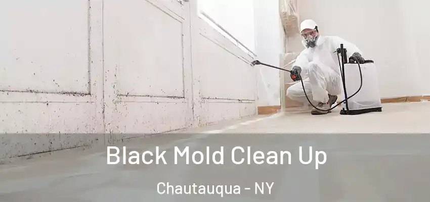 Black Mold Clean Up Chautauqua - NY
