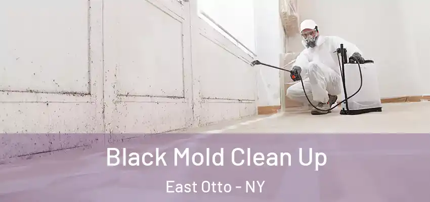  Black Mold Clean Up East Otto - NY