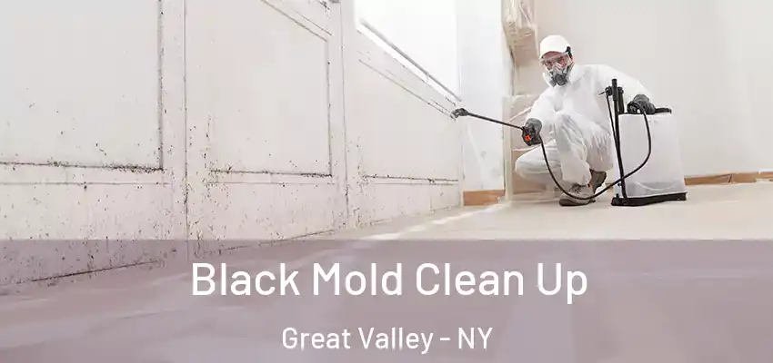  Black Mold Clean Up Great Valley - NY