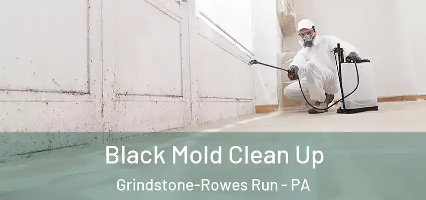  Black Mold Clean Up Grindstone-Rowes Run - PA