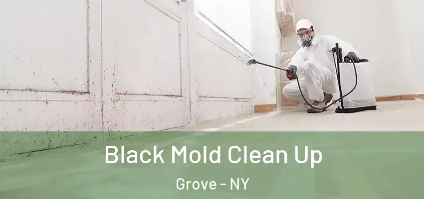  Black Mold Clean Up Grove - NY