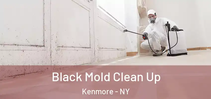  Black Mold Clean Up Kenmore - NY
