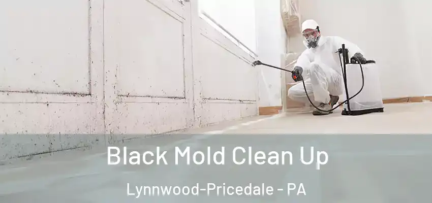 Black Mold Clean Up Lynnwood-Pricedale - PA