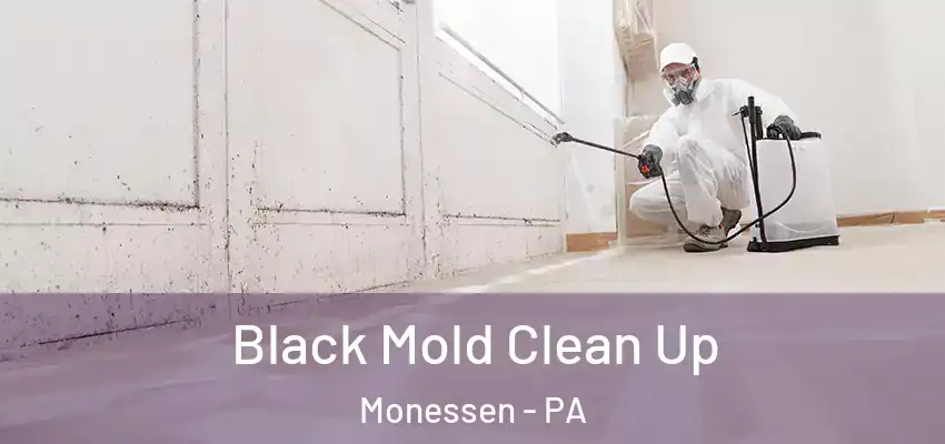  Black Mold Clean Up Monessen - PA