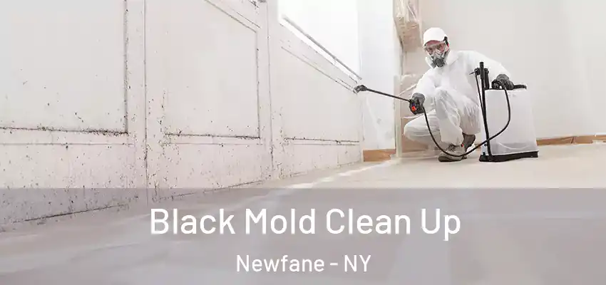  Black Mold Clean Up Newfane - NY