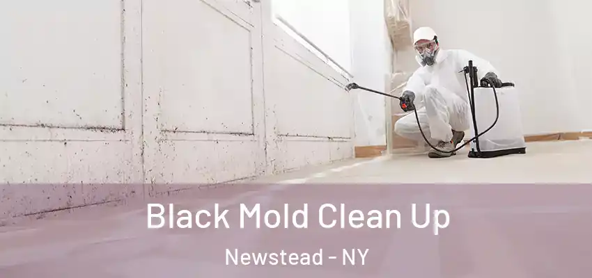Black Mold Clean Up Newstead - NY