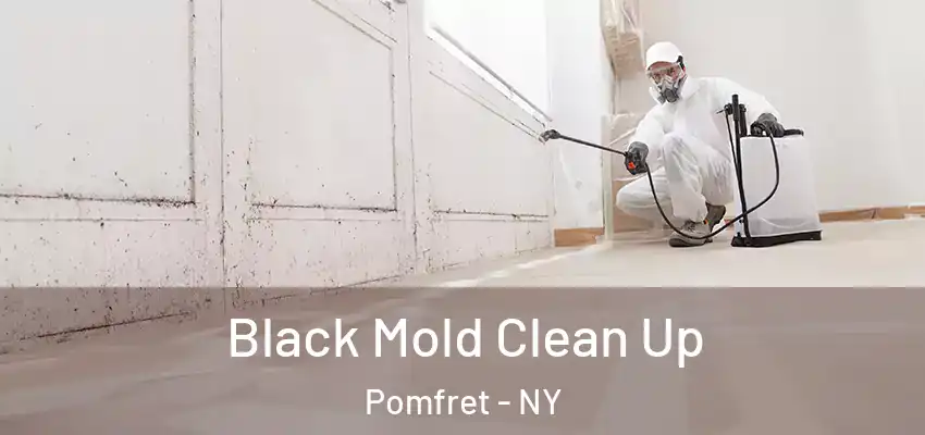  Black Mold Clean Up Pomfret - NY