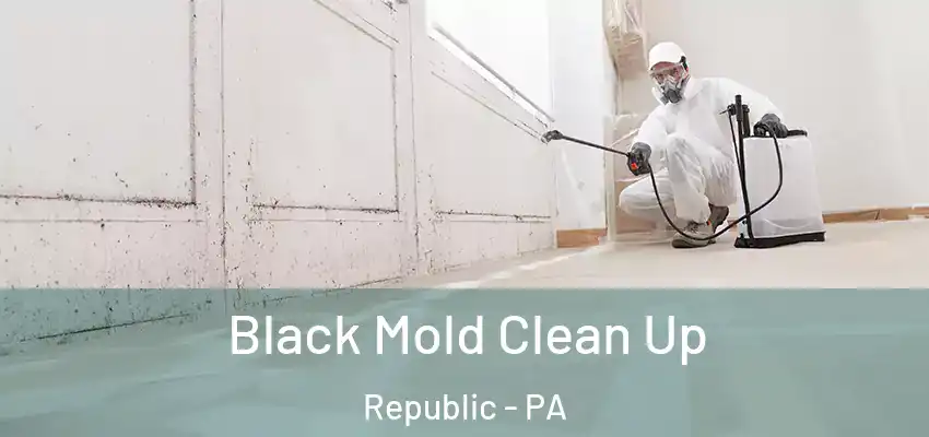  Black Mold Clean Up Republic - PA