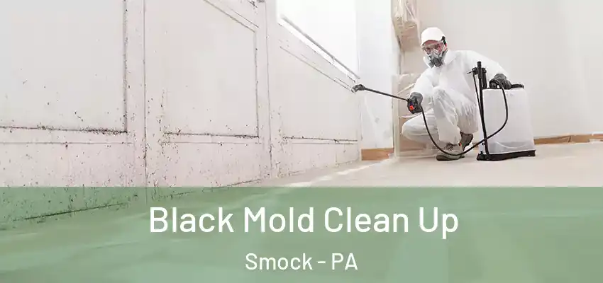  Black Mold Clean Up Smock - PA