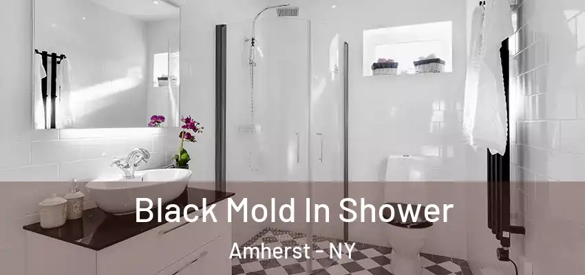  Black Mold In Shower Amherst - NY