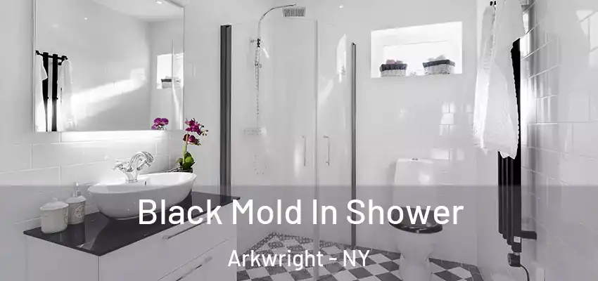 Black Mold In Shower Arkwright - NY