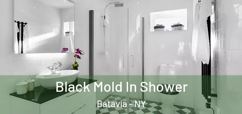 Black Mold In Shower Batavia - NY