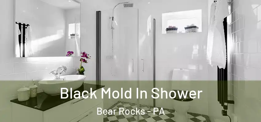  Black Mold In Shower Bear Rocks - PA