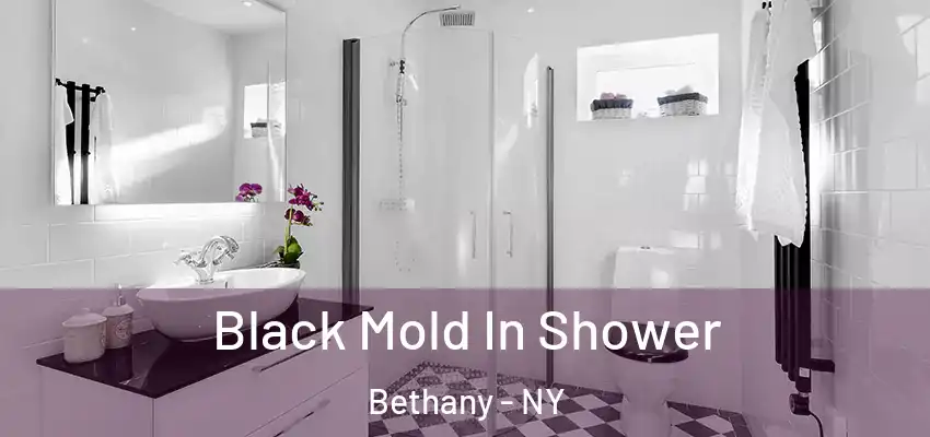  Black Mold In Shower Bethany - NY